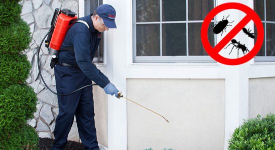Kargı Akrep İlaçlama böcek ilaçlama ve haşere kontrolü — ilaclama-tr.com